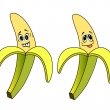 Ban�ny_Cartoon-Vector1